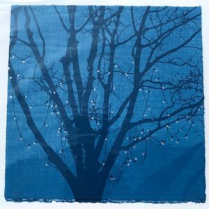 Anna Harley Moon Fruit II unframed mini print