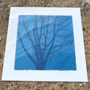 Anna Harley Moon Fruit II unframed mini print2