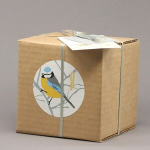 Bluetit Mug