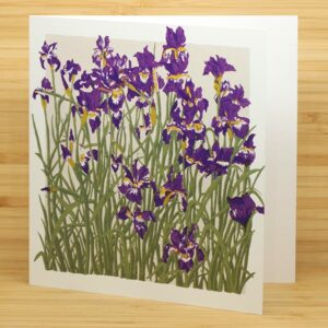 Anna Harley - Printed Card - Anna Harley Iris card (AHA-PCA-014)