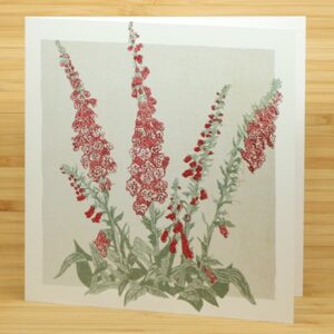 Anna Harley - Printed Card - Anna Harley Foxgloves card (AHA-PCA-017)