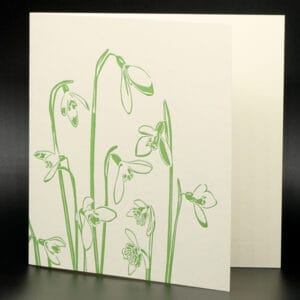 Penguin Ink - Snowdrops Card (PIN-LCA-031)