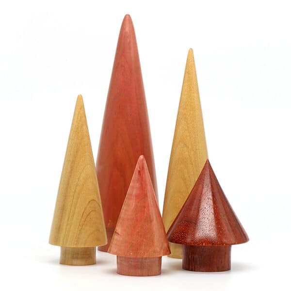 JSA-WCT-CAT JSA-WCT-CAT