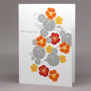 Nasturtium 'Happy Birthday' card