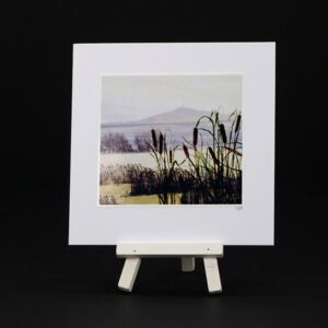 Kerrie McNeil card KMN-PCA-025