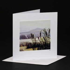 Kerrie McNeil card KMN-PCA-025a