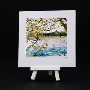 Kerrie McNeil card KMN-PCA-028