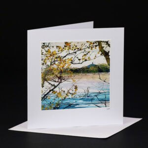 Kerrie McNeil card KMN-PCA-028a