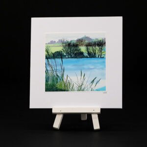 Kerrie McNeil card KMN-PCA-038