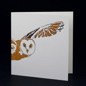 Penguin Ink cards PIN-LCA-042