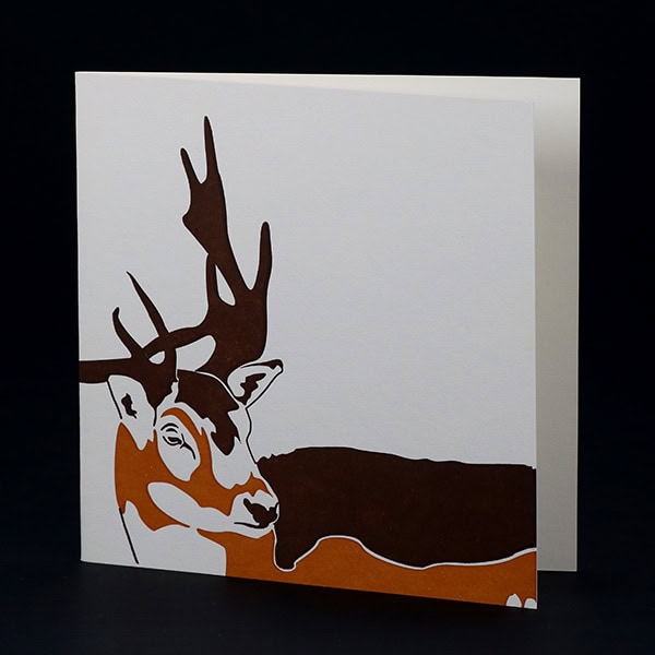 Penguin Ink PIN-LCA-044z