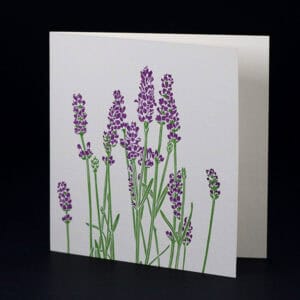 Penguin Ink cards PIN-LCA-046