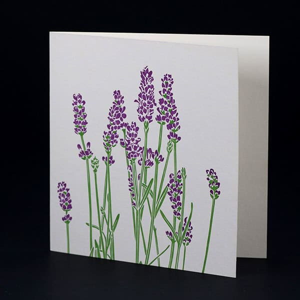 Penguin Ink cards PIN-LCA-046