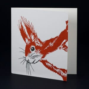 Penguin Ink cards PIN-LCA-048