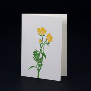 Penguin Ink cards PIN-SCA-040