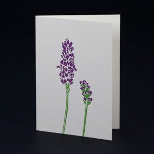 Penguin Ink cards PIN-SCA-041