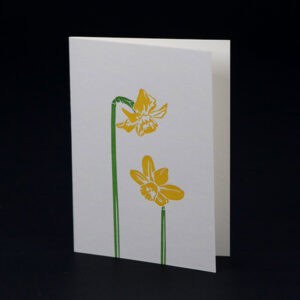 Penguin Ink PIN-SCA-042