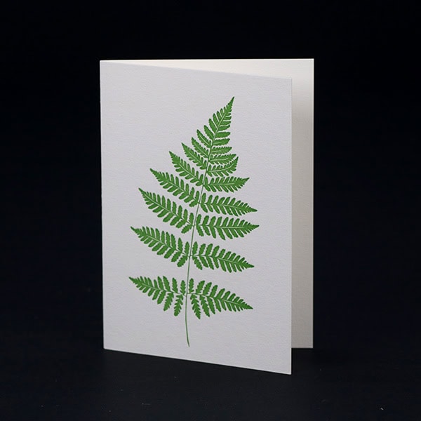 Penguin Ink cards PIN-SCA-043