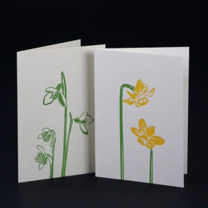 Penguin Ink PIN-SCA-GENy